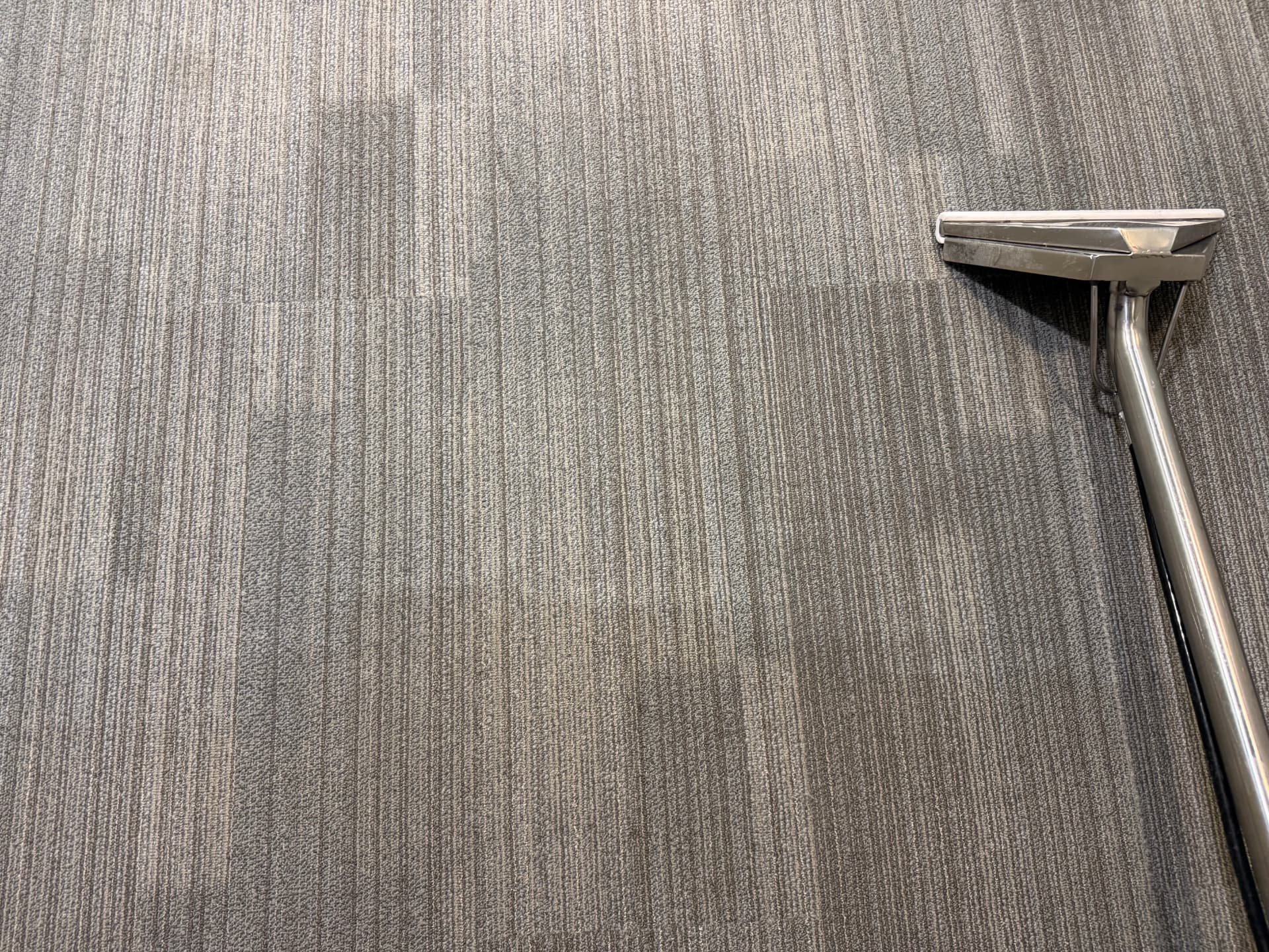 Cleaned grey commercial carpet tiles with visible cleaning passes and the wand at work